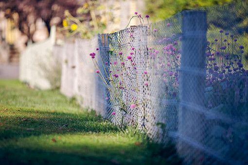 围栏上的花朵