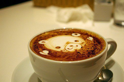 可爱小熊的咖啡