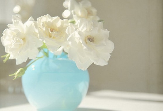 天蓝色花瓶 & 白色花朵