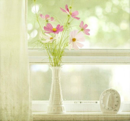 窗台的花