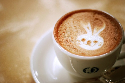兔子咖啡